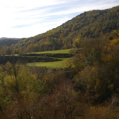 Mas Franch Daire San Miguel de la Pineda Dış mekan fotoğraf