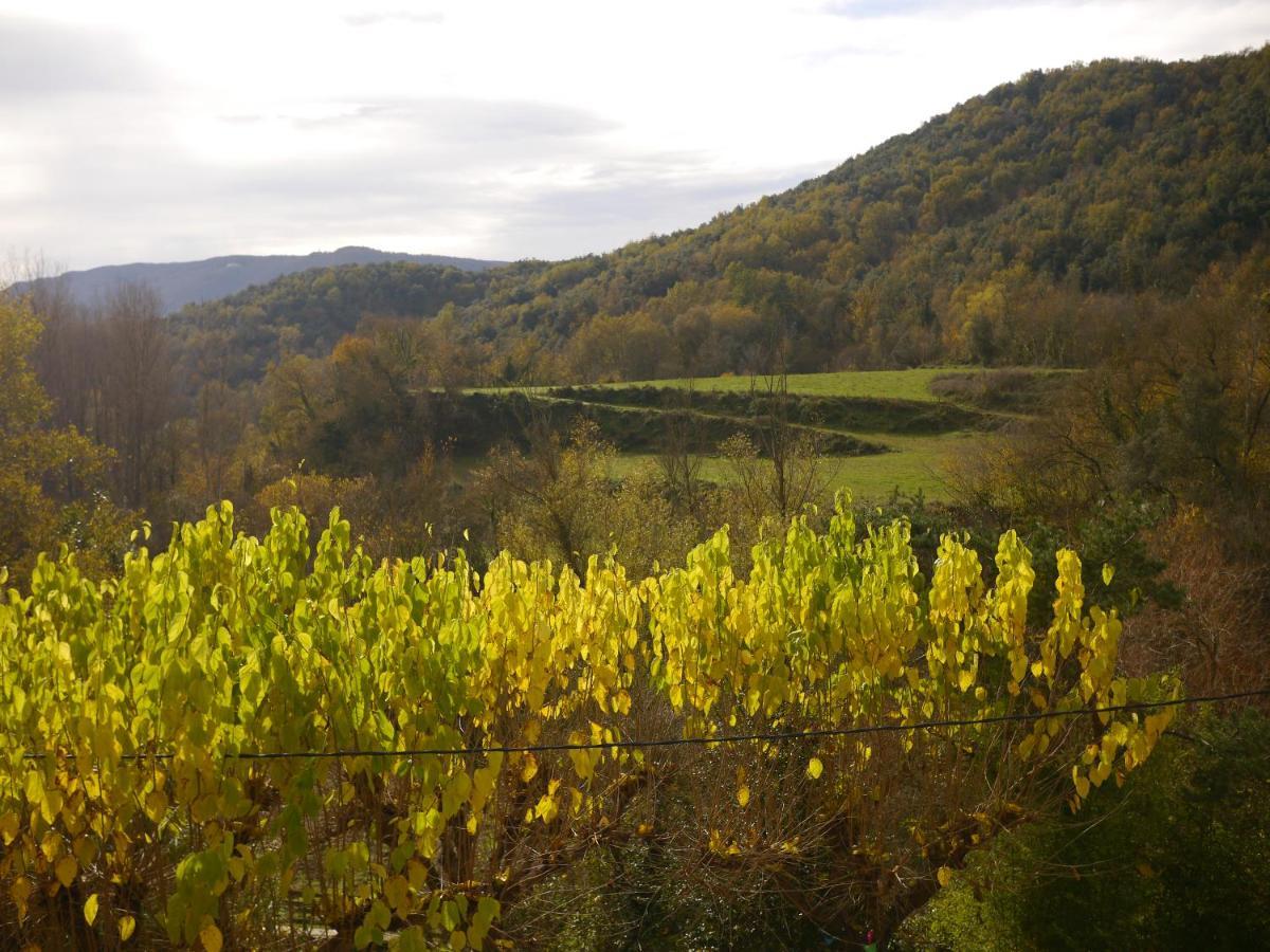 Mas Franch Daire San Miguel de la Pineda Dış mekan fotoğraf