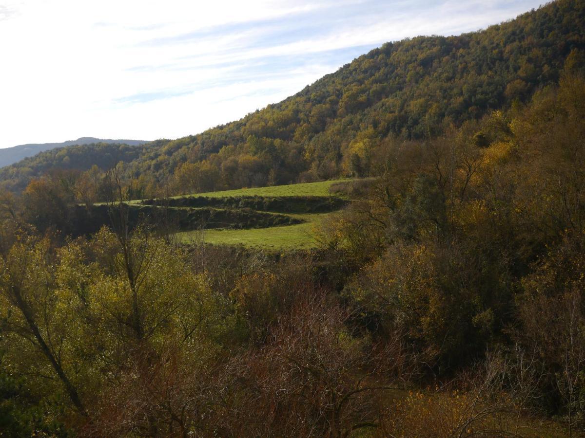 Mas Franch Daire San Miguel de la Pineda Dış mekan fotoğraf