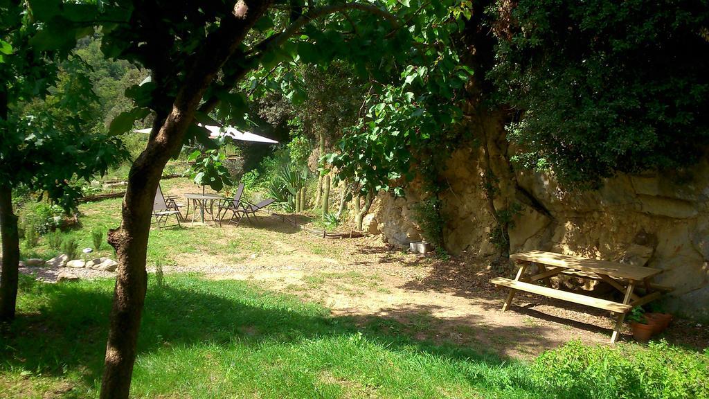 Mas Franch Daire San Miguel de la Pineda Dış mekan fotoğraf